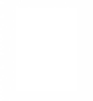 poele bois scandinave danois danemark centre regional cheminee crc