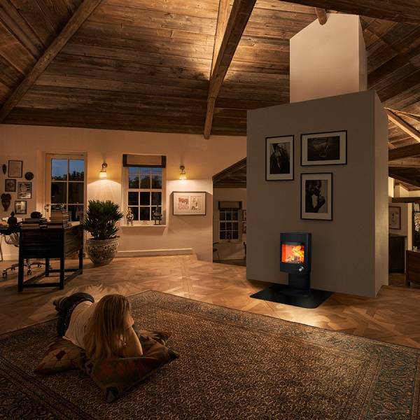 poele a bois fonte scandinave pres de pourrieres
